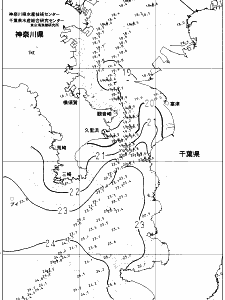 東京湾口海況図(2021/11/03)
