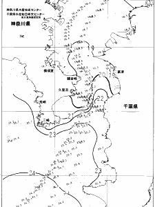 東京湾口海況図(2021/11/04)