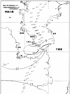 東京湾口海況図(2021/11/10)