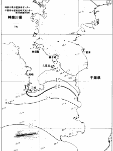 東京湾口海況図(2021/11/16)