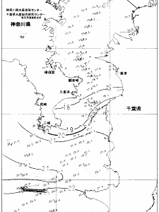 東京湾口海況図(2021/11/19)