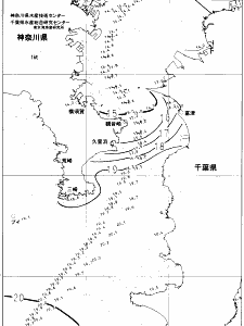 東京湾口海況図(2021/12/13)