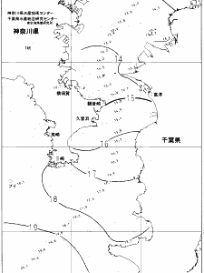 東京湾口海況図(2021/12/17)