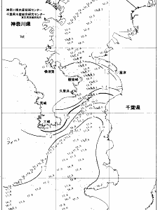 東京湾口海況図(2021/12/29)