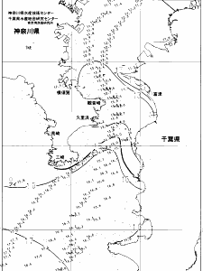 東京湾口海況図(2021/12/31)