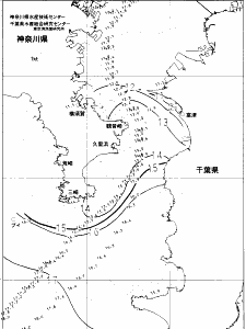 東京湾口海況図(2022/01/03)