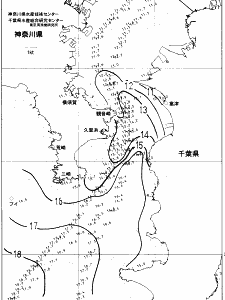 東京湾口海況図(2022/01/04)