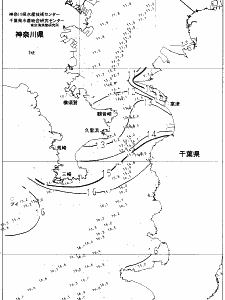 東京湾口海況図(2022/01/07)