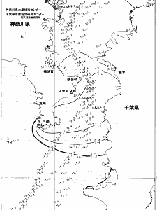 東京湾口海況図(2022/01/17)