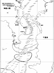 東京湾口海況図(2022/01/18)