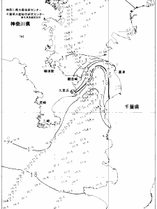 東京湾口海況図(2022/01/30)