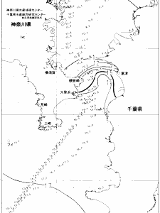 東京湾口海況図(2022/02/05)