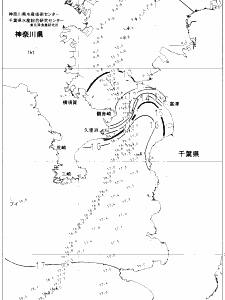 東京湾口海況図(2022/02/17)