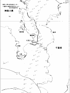 東京湾口海況図(2022/05/29)