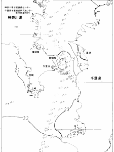 東京湾口海況図(2022/06/29)