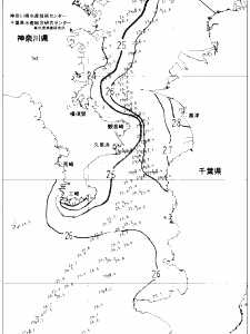 東京湾口海況図(2022/08/09)
