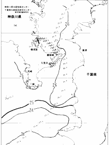 東京湾口海況図(2022/08/13)