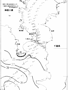 東京湾口海況図(2022/08/25)