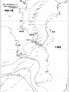 東京湾口海況図(2022/08/26)