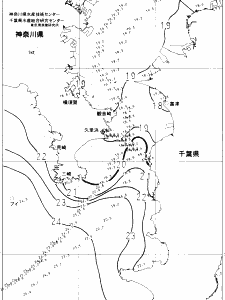 東京湾口海況図(2022/10/27)