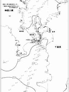 東京湾口海況図(2022/11/11)