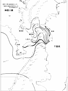 東京湾口海況図(2023/01/26)