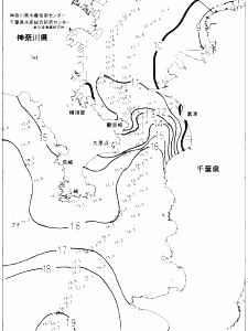 東京湾口海況図(2023/02/03)