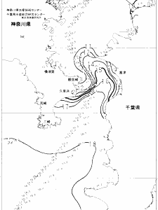 東京湾口海況図(2023/02/13)