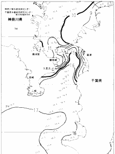 東京湾口海況図(2023/02/15)