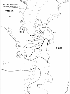 東京湾口海況図(2023/02/19)