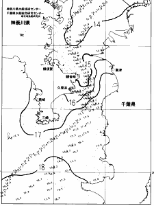 東京湾口海況図(2023/03/24)