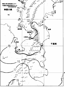 東京湾口海況図(2023/03/29)