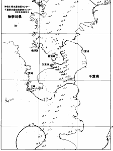 東京湾口海況図(2023/04/12)