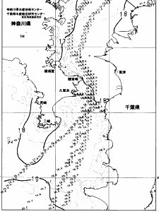 東京湾口海況図(2023/04/30)