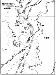 東京湾口海況図(2023/05/23)