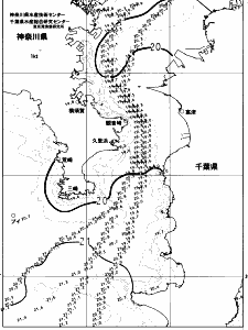 東京湾口海況図(2023/05/28)