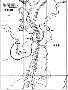 東京湾口海況図(2023/05/29)
