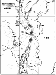 東京湾口海況図(2023/06/08)