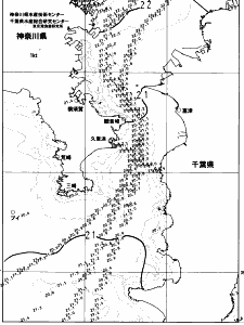 東京湾口海況図(2023/06/11)