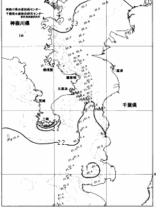 東京湾口海況図(2023/06/14)