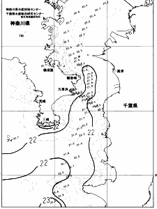 東京湾口海況図(2023/06/16)
