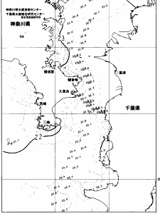 東京湾口海況図(2023/06/17)