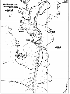 東京湾口海況図(2023/06/19)
