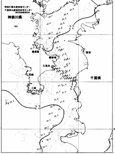 東京湾口海況図(2023/06/23)
