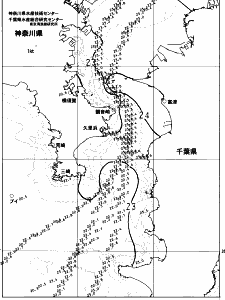 東京湾口海況図(2023/07/02)