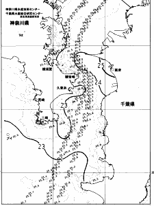 東京湾口海況図(2023/07/03)