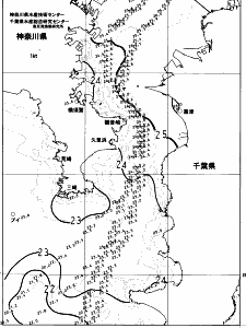 東京湾口海況図(2023/07/14)