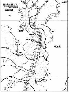 東京湾口海況図(2023/07/16)