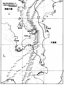 東京湾口海況図(2023/07/26)