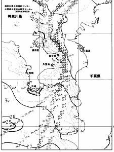 東京湾口海況図(2023/08/01)